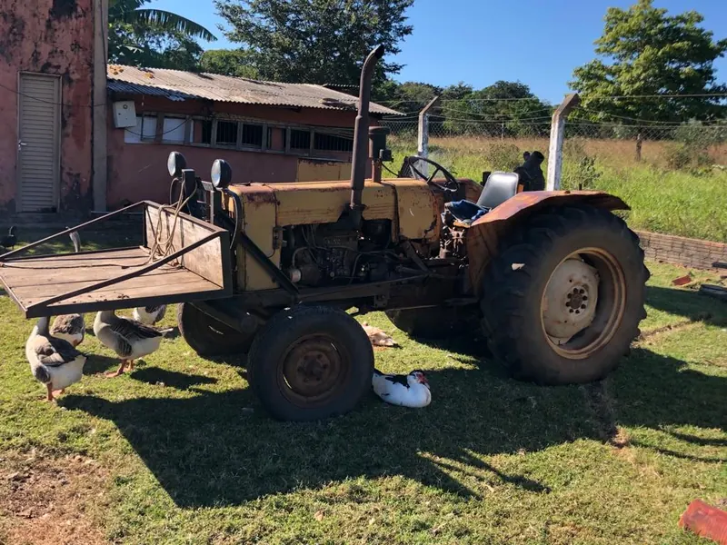 Trator antigo em propriedade rural atendida pela AgriJr, com aves ao redor